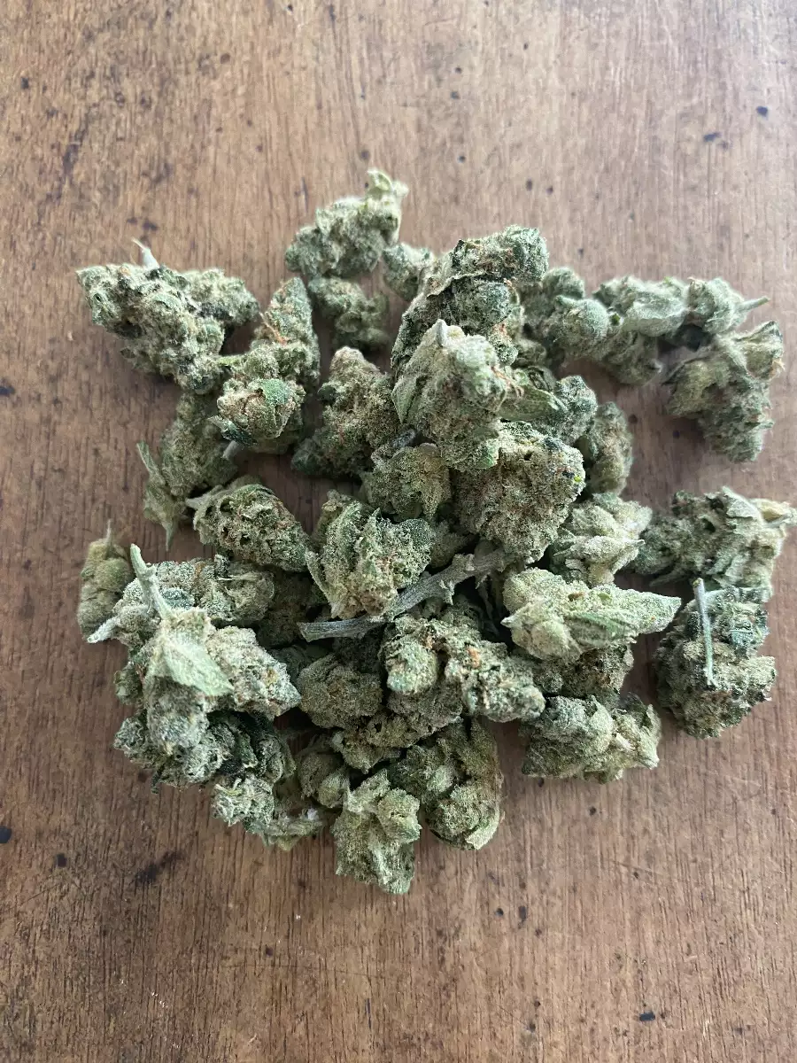 Small bud white widow 10gr (Indoor)